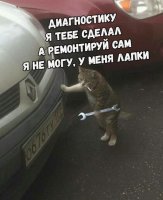 у меня лапки.jpg