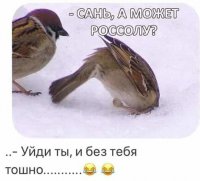 Сань, мож рассолу.jpg