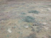 мохнатый пол.jpg