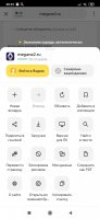 Screenshot_2020-12-01-20-01-36-195_ru.yandex.searchplugin.jpg