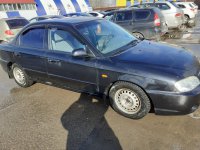 киа спетера +лошадки 239.jpg