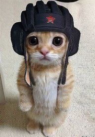 Вадим Куликов