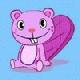 anynet