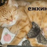 Левыч